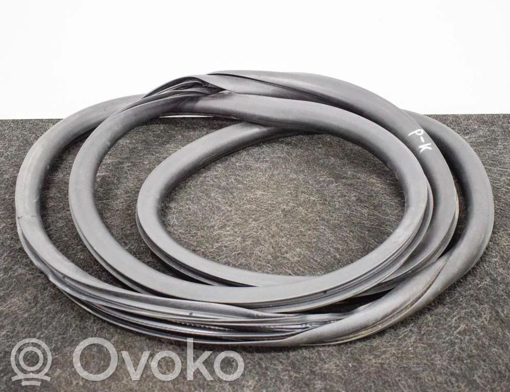 Citroen DS3 Rubber seal front coupe door 