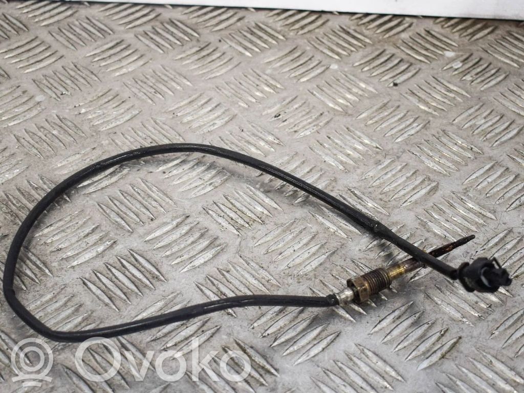 BMW X6 F16 Sensore temperatura dell’olio