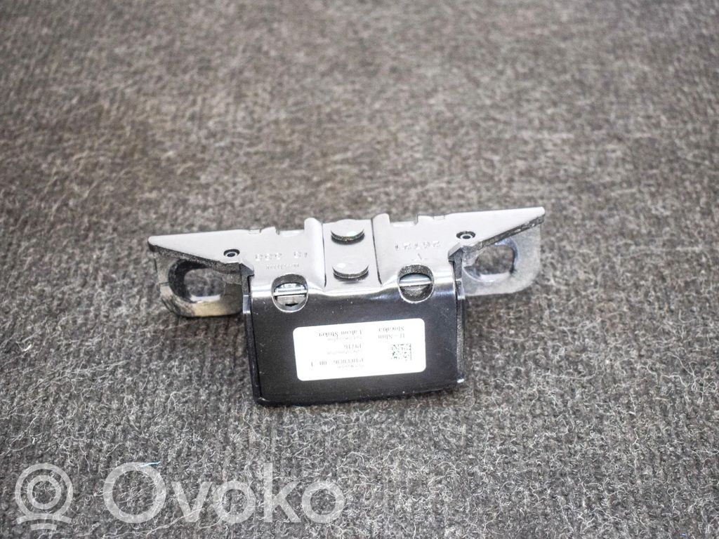Tesla Model X Other body part 