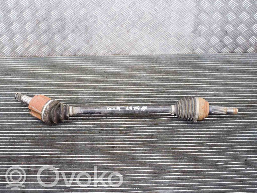 Aizmugurējā pusass   102716100B
