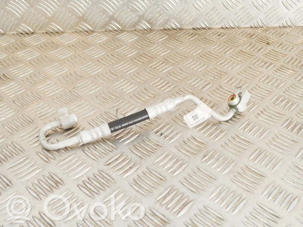 Ford Ecosport Ilmastointilaitteen putki (A/C) 