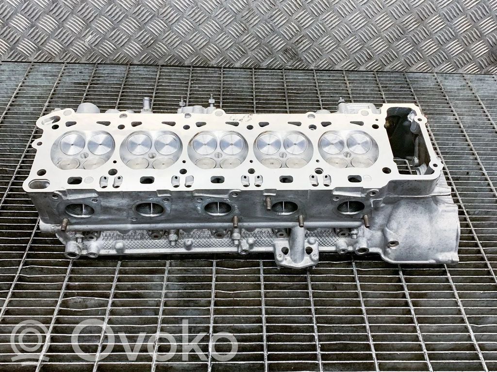 Galvutė   7833884