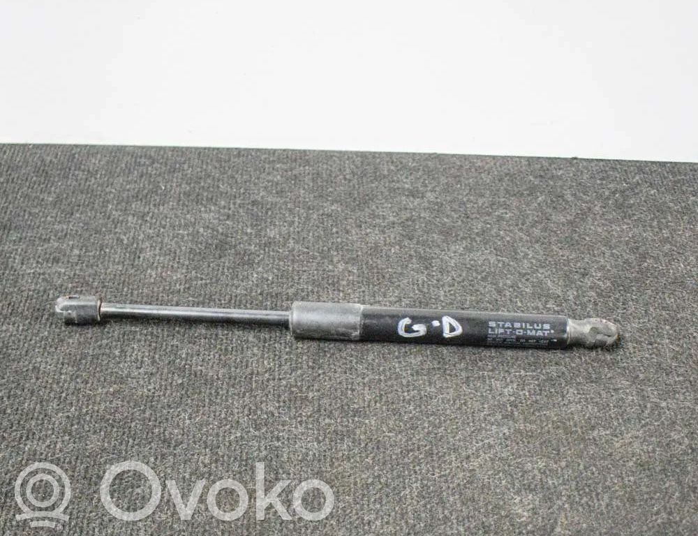 Tailgate/trunk strut/damper   109156000B