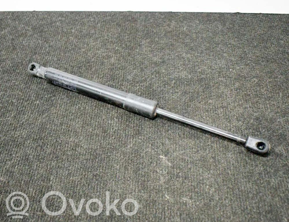 Tesla Model 3 Tailgate/trunk strut/damper 