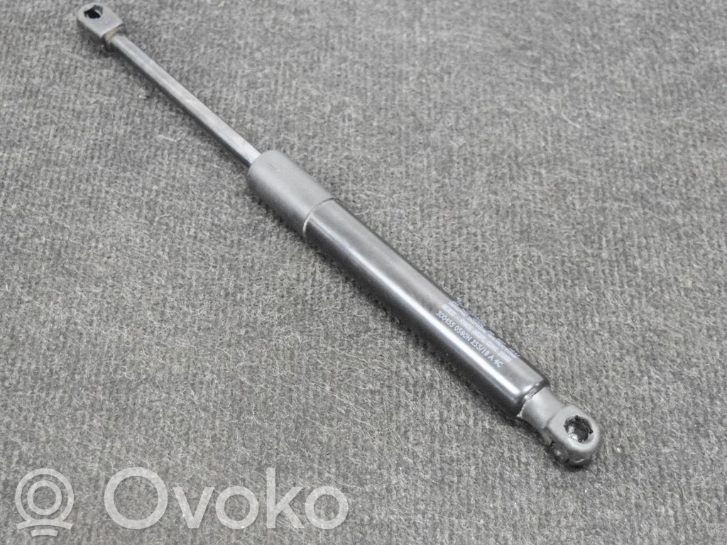 Tesla Model 3 Tailgate/trunk strut/damper 