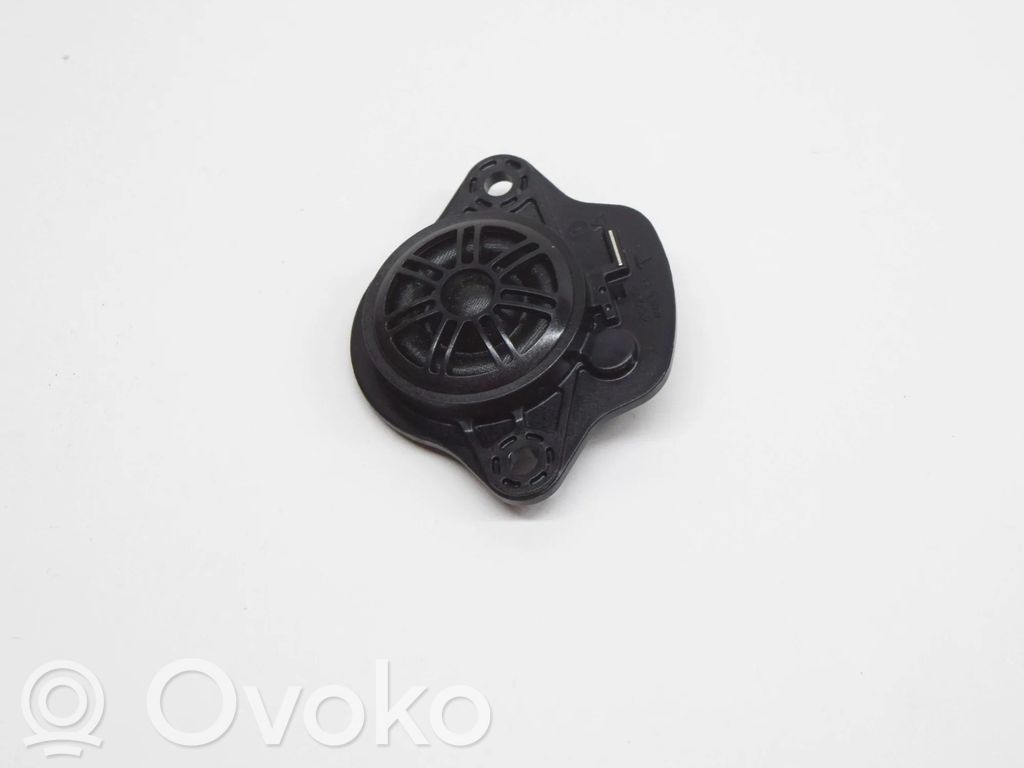 Panel speaker   109873700B