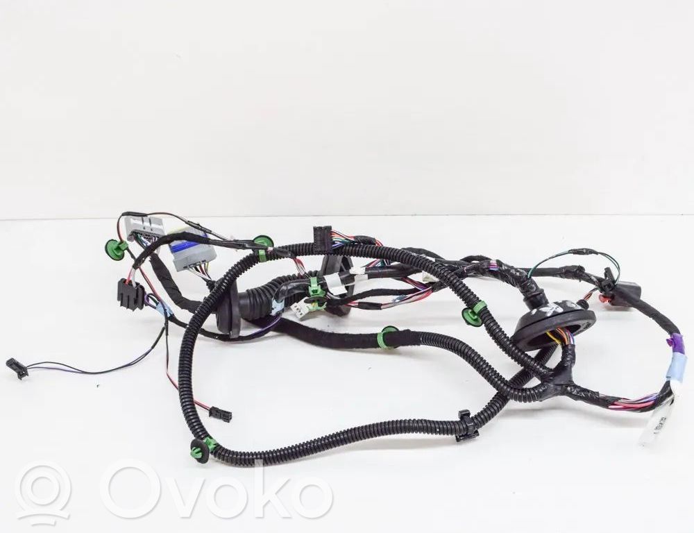 Tesla Model S Cableado de puerta trasera 