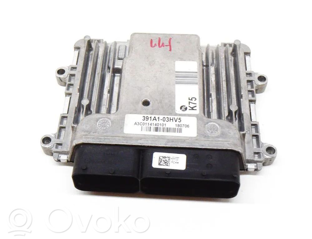Hyundai Ioniq Engine control unit/module 