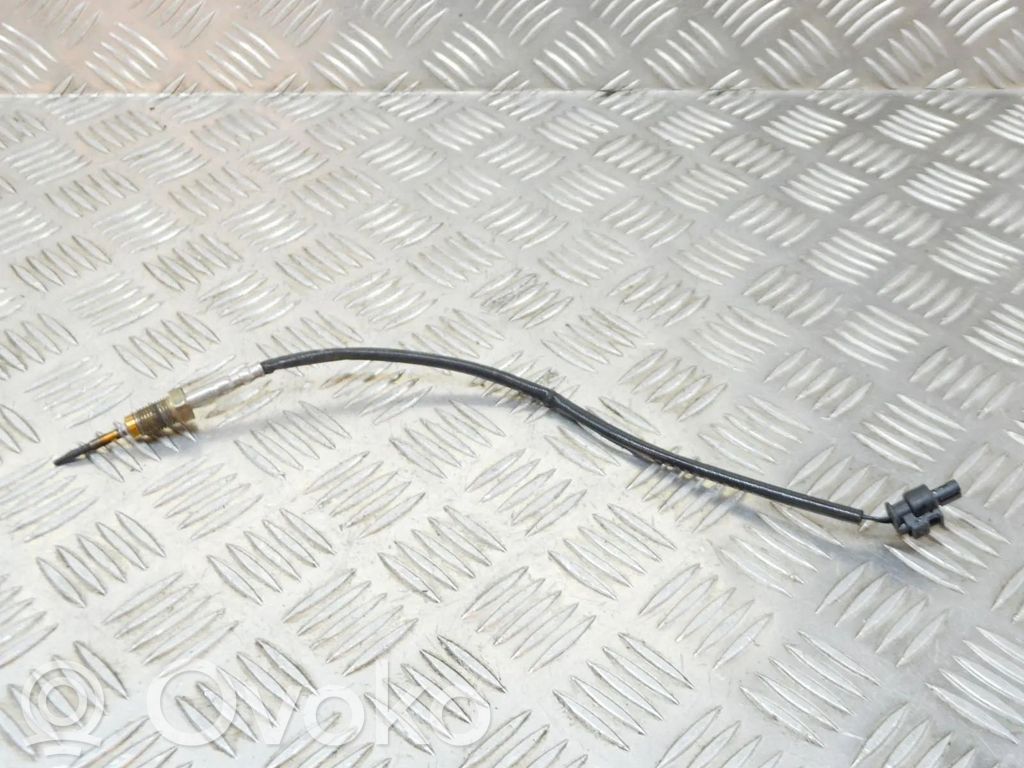 BMW 5 F10 F11 Tepalo temperatūros matuoklis 