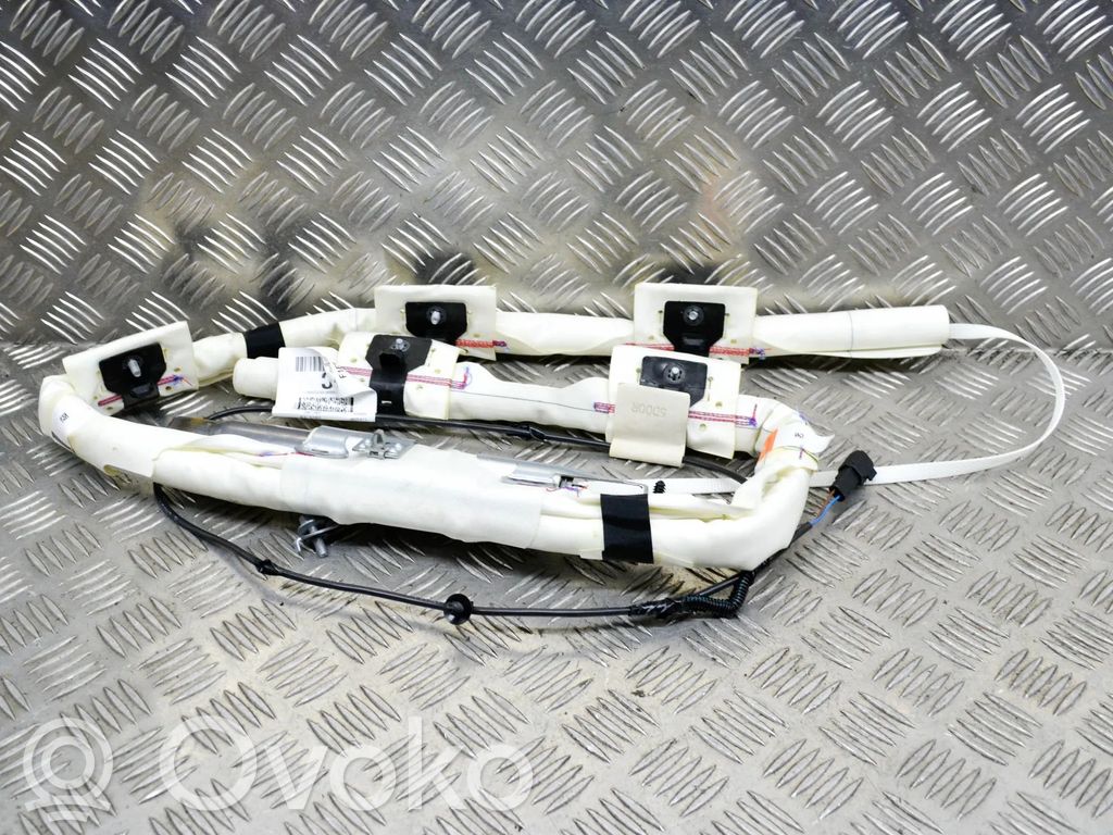 Kopfairbag   BAMPT11624,1B6301501,F1ET14K155BC