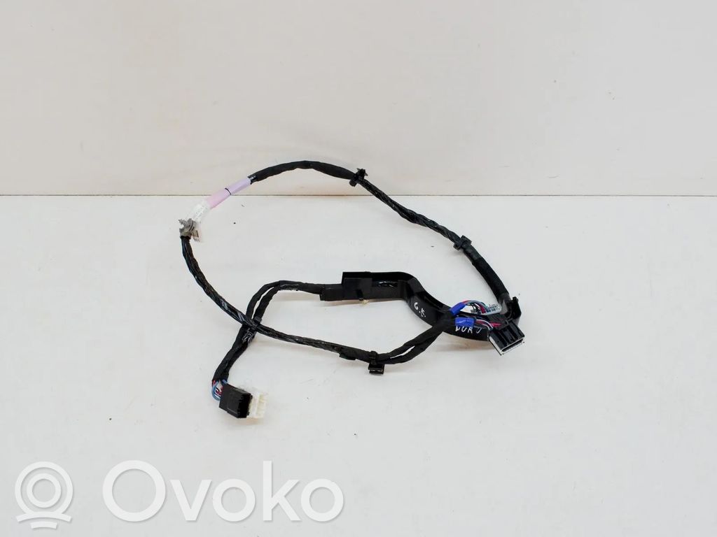 Tesla Model X Cableado de puerta trasera 