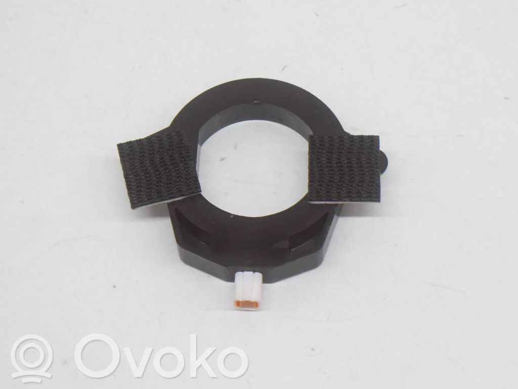 Antenne des Keyless-Systems   X12069002,100562700B