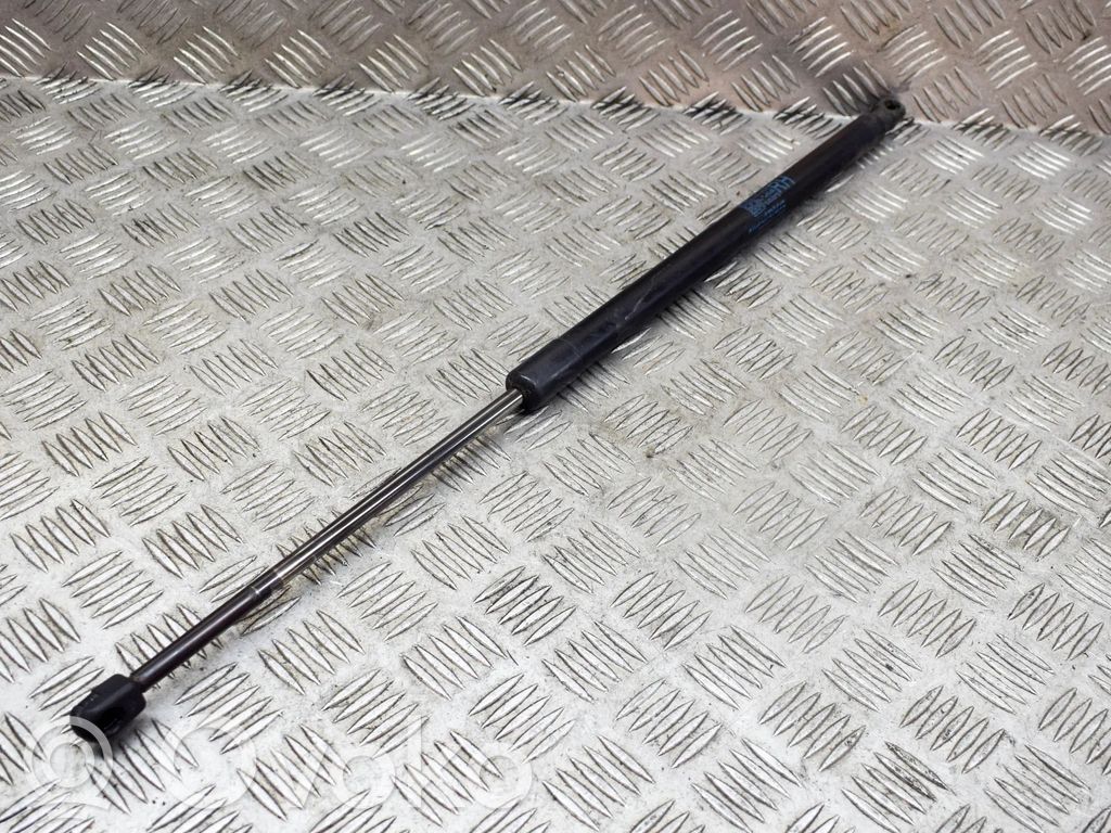 Tailgate/trunk strut/damper