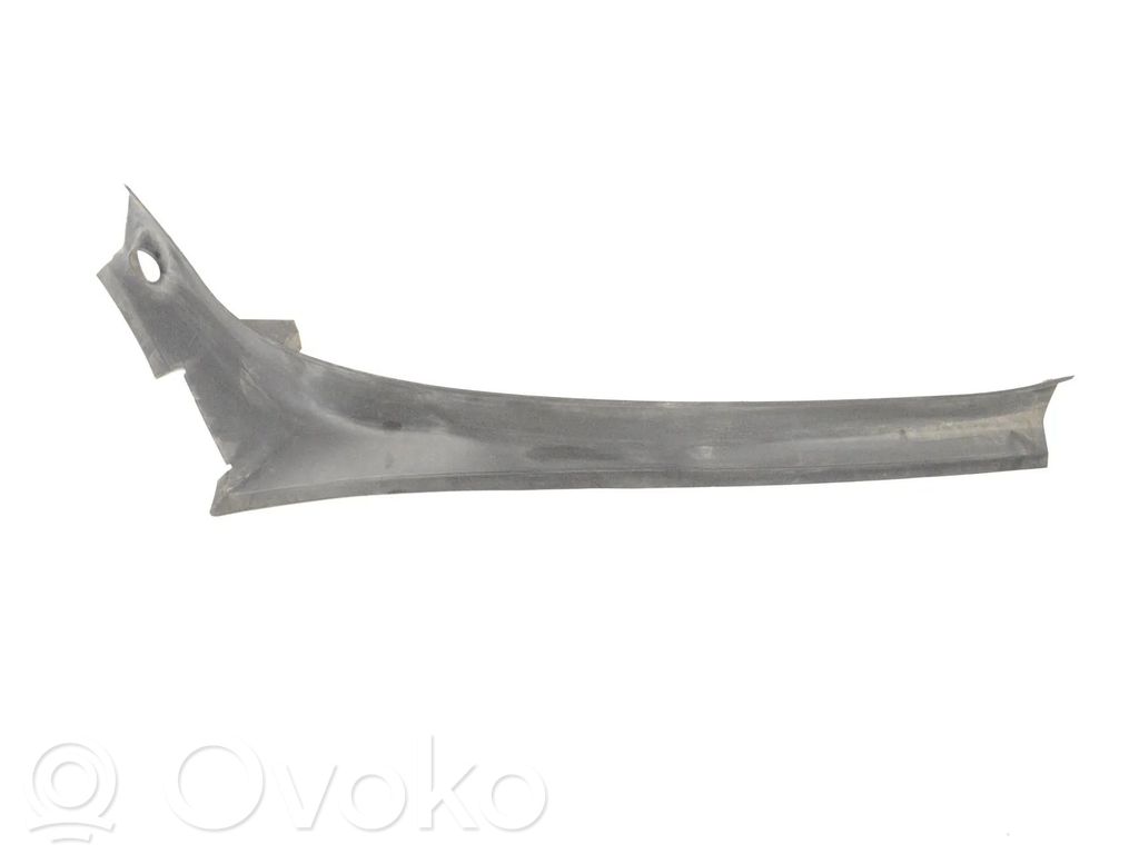 Tesla Model X Other body part 