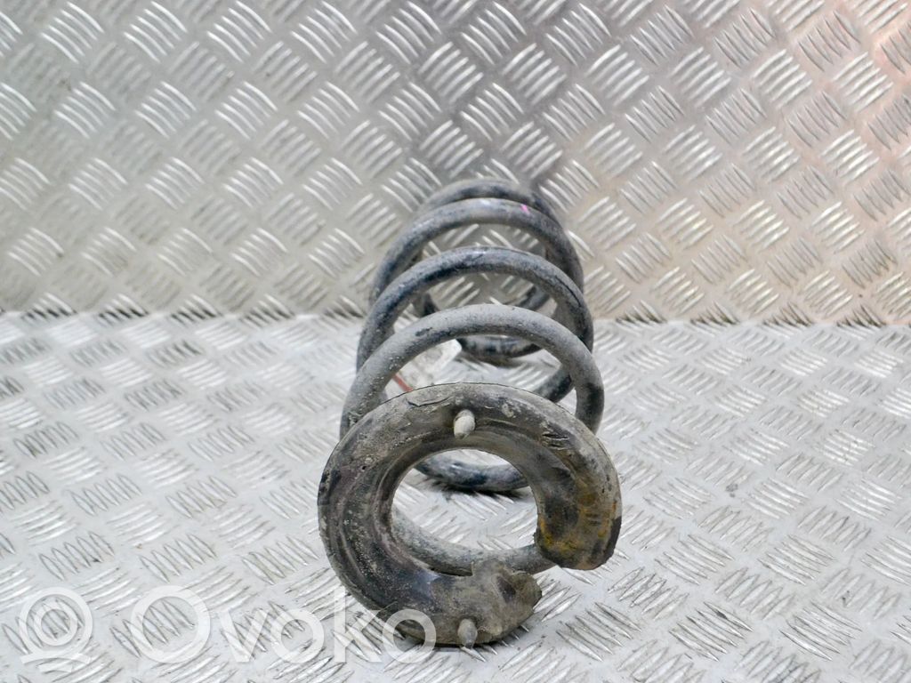 Muelle espiral trasero   104447201E