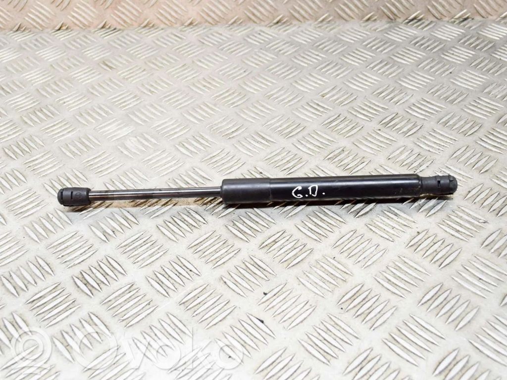 Tesla Model 3 Tailgate/trunk strut/damper 