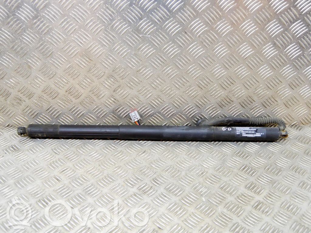 Tesla Model S Tailgate/trunk strut/damper 