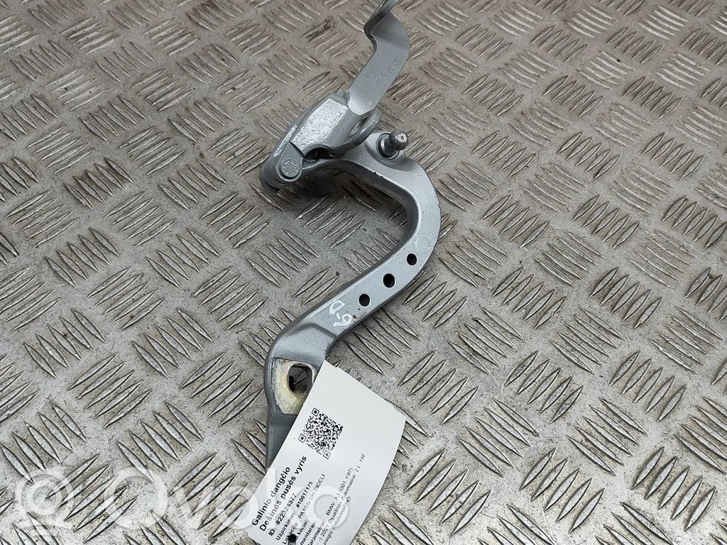 Tailgate/trunk/boot hinge   7397316