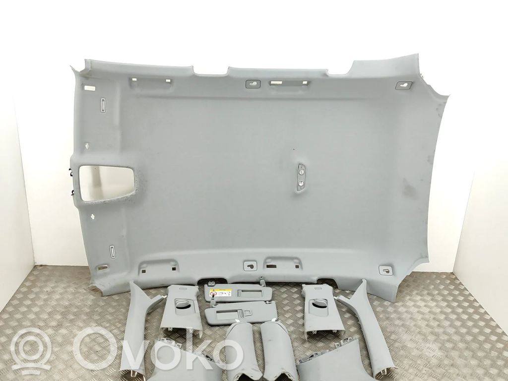 Audi Q5 SQ5 FY Techo 