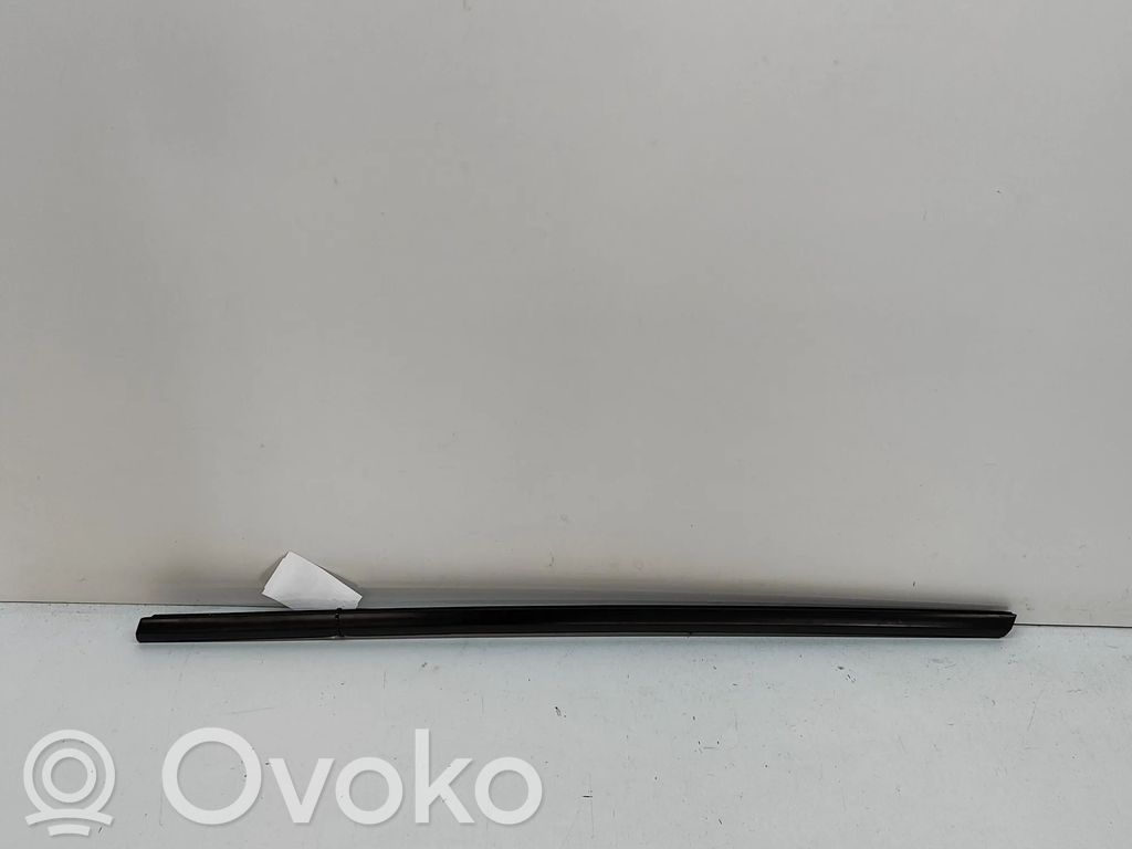 Tesla Model Y Listwa / Uszczelka szyby drzwi 