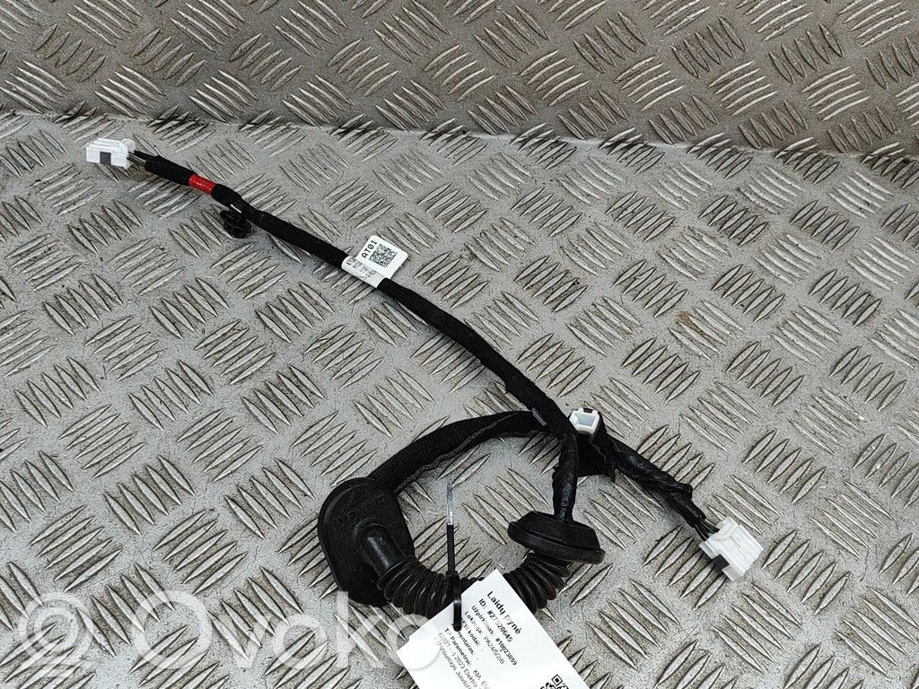 KIA EV6 Arnés de cableado de la puerta trasera/maletero 