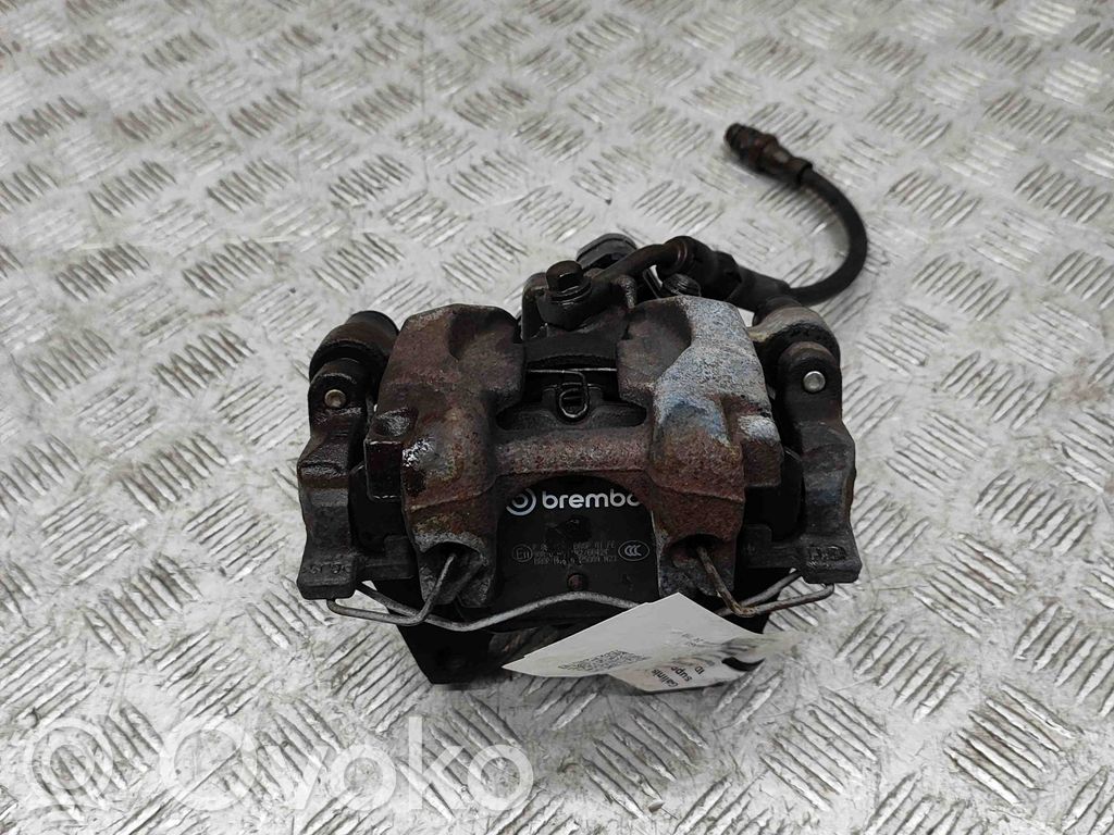 Takajarrusatula   3Q0615405E,3Q0615423