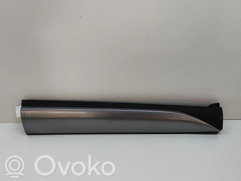 BYD Atto 3 Listón embellecedor de la puerta delantera (moldura) 