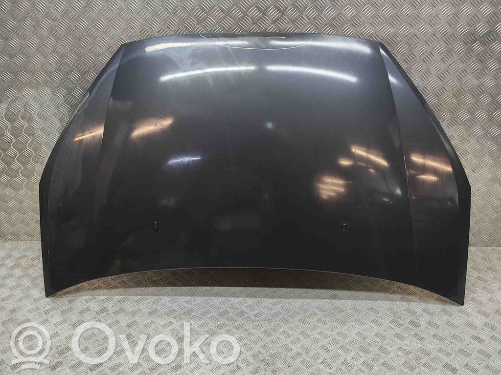 Dzinēja pārsegs (vāks)   1569486,P6M21U16610AD
