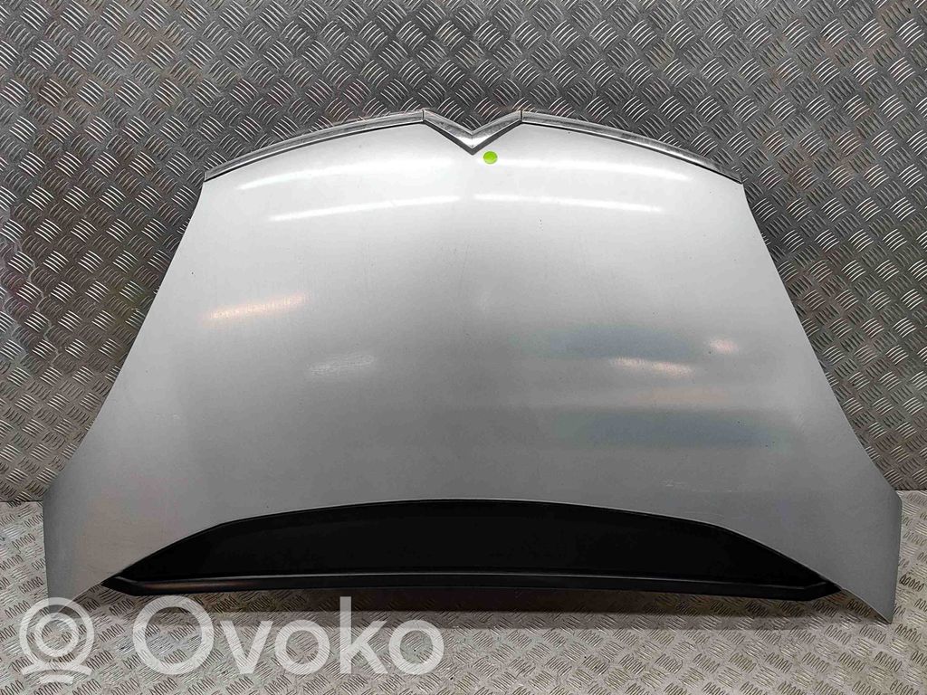 Motorhaube   7901N7