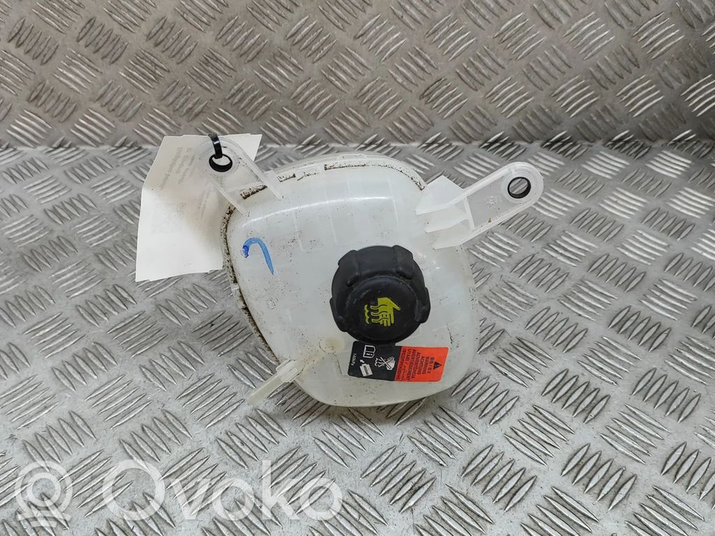 Nissan Qashqai J12 Serbatoio di compensazione del liquido refrigerante/vaschetta