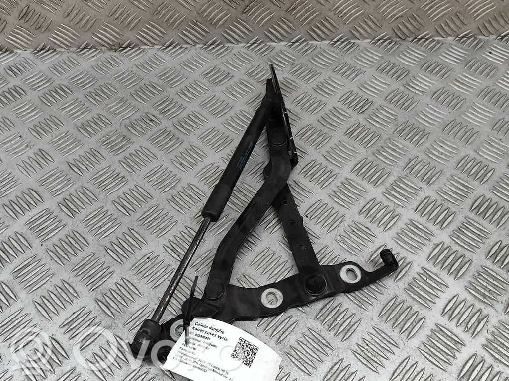 Audi A5 8T 8F Tailgate/trunk/boot hinge 
