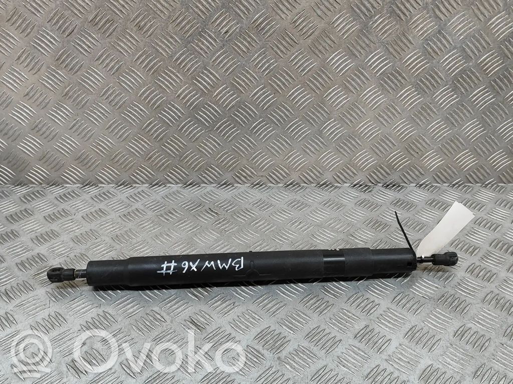 BMW X6 E71 Tailgate/trunk strut/damper 