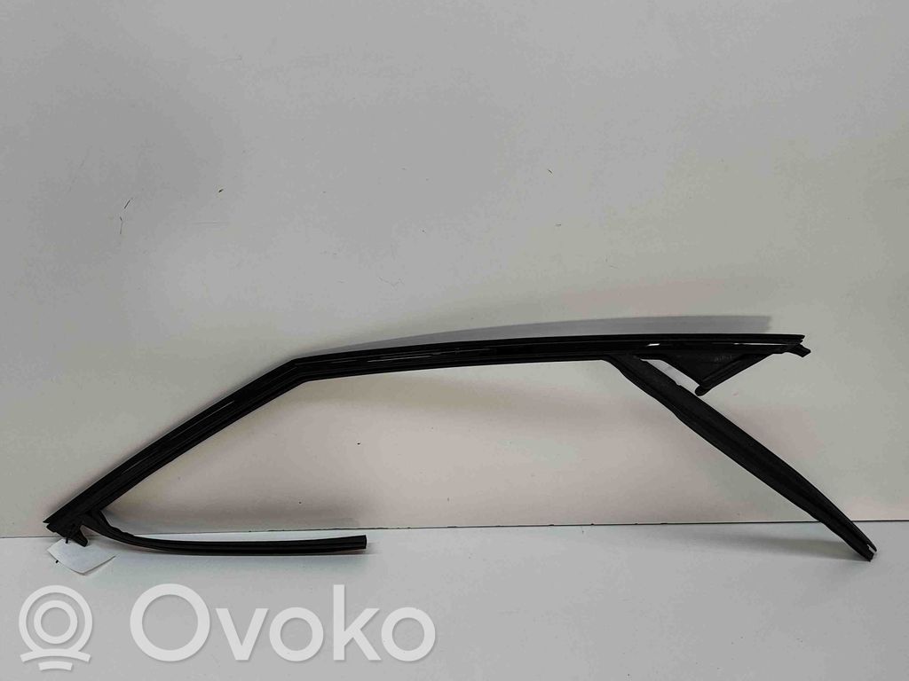 Polestar 2 Listwa / Uszczelka szyby drzwi 