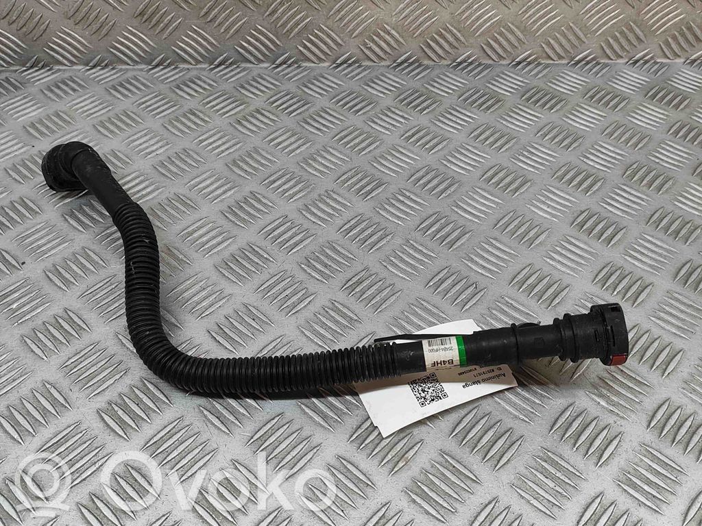 Hyundai Kona II Conductă/furtun lichid de răcire motor 