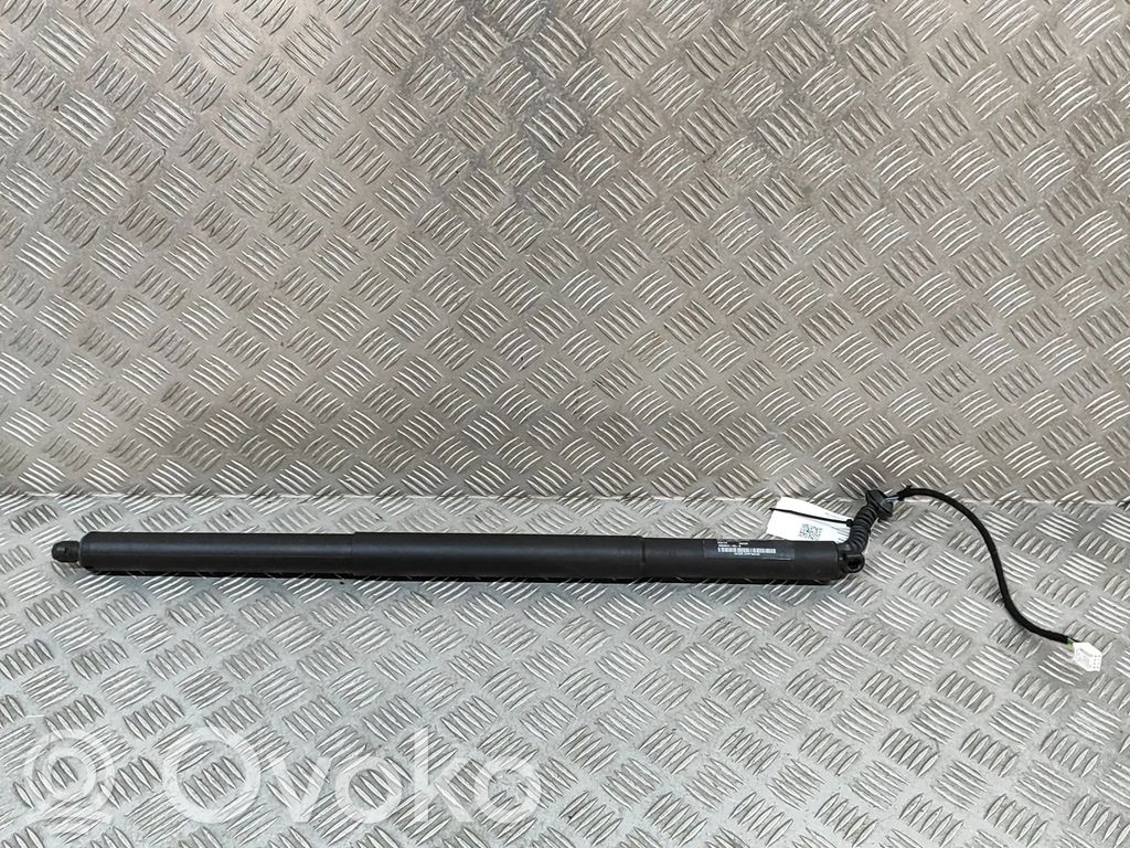 Tesla Model X Ammortizzatore portellone posteriore/bagagliaio 