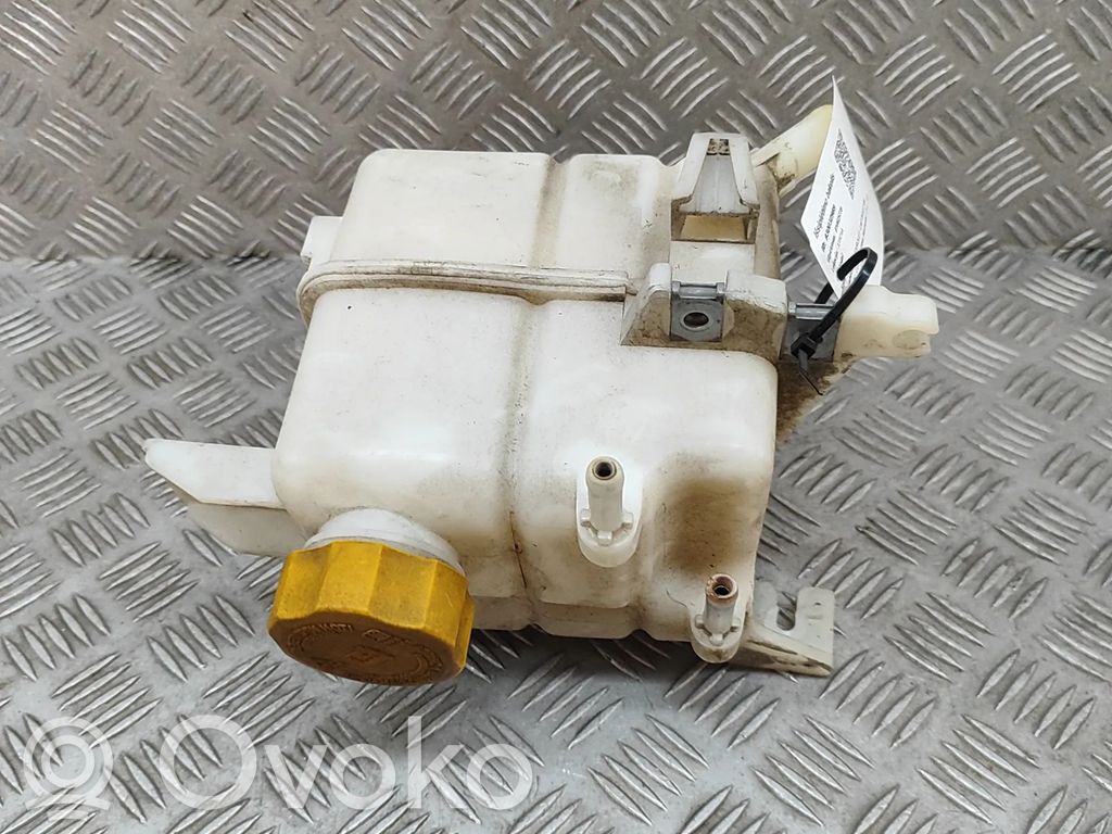Chevrolet Captiva Zbiornik wyrównawczy chłodziwa 