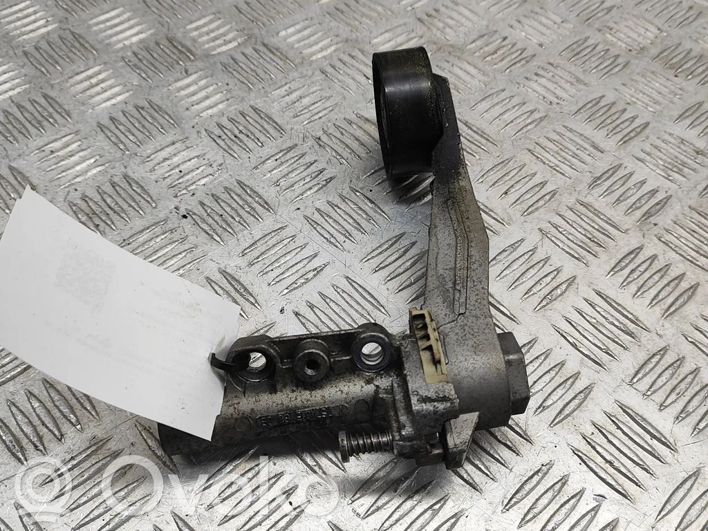 Peugeot 308 Tendicinghia generatore/alternatore 