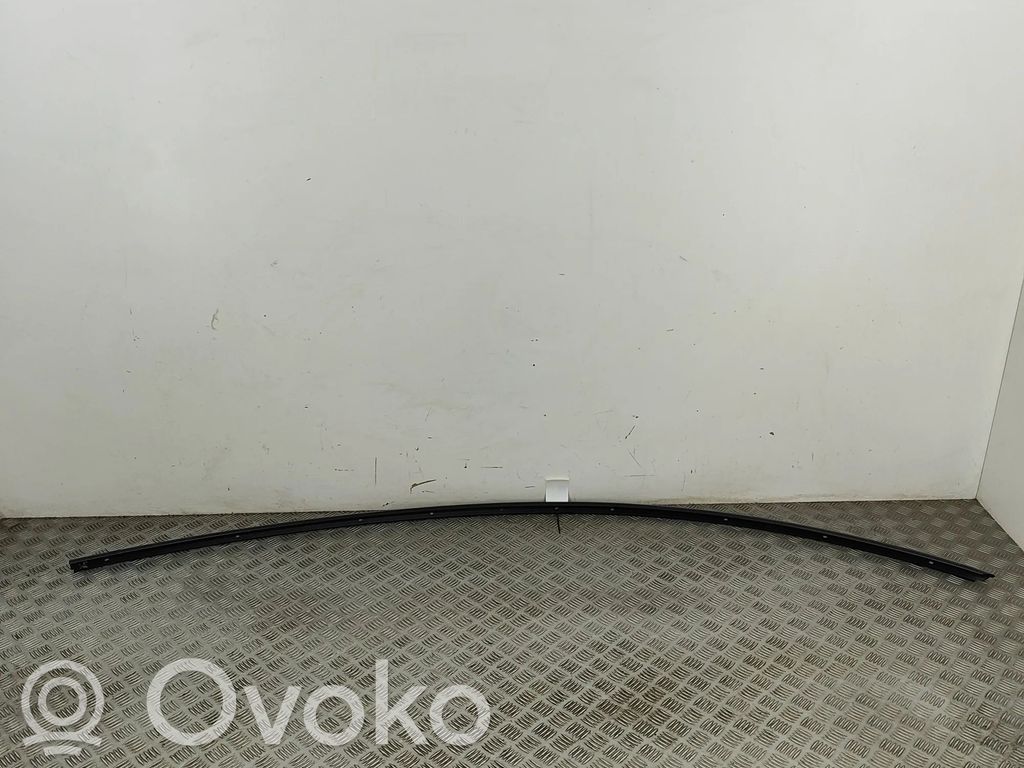 Tesla Model Y Katon muotolistan suoja 