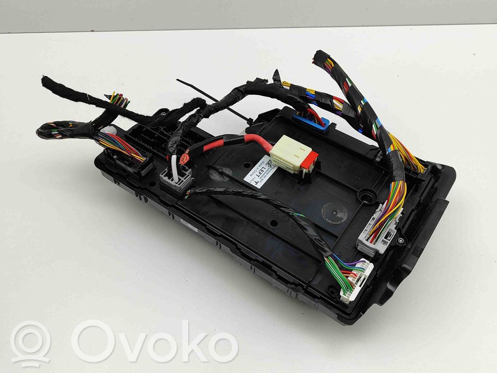 Tesla Model Y Kėbulo modulis 