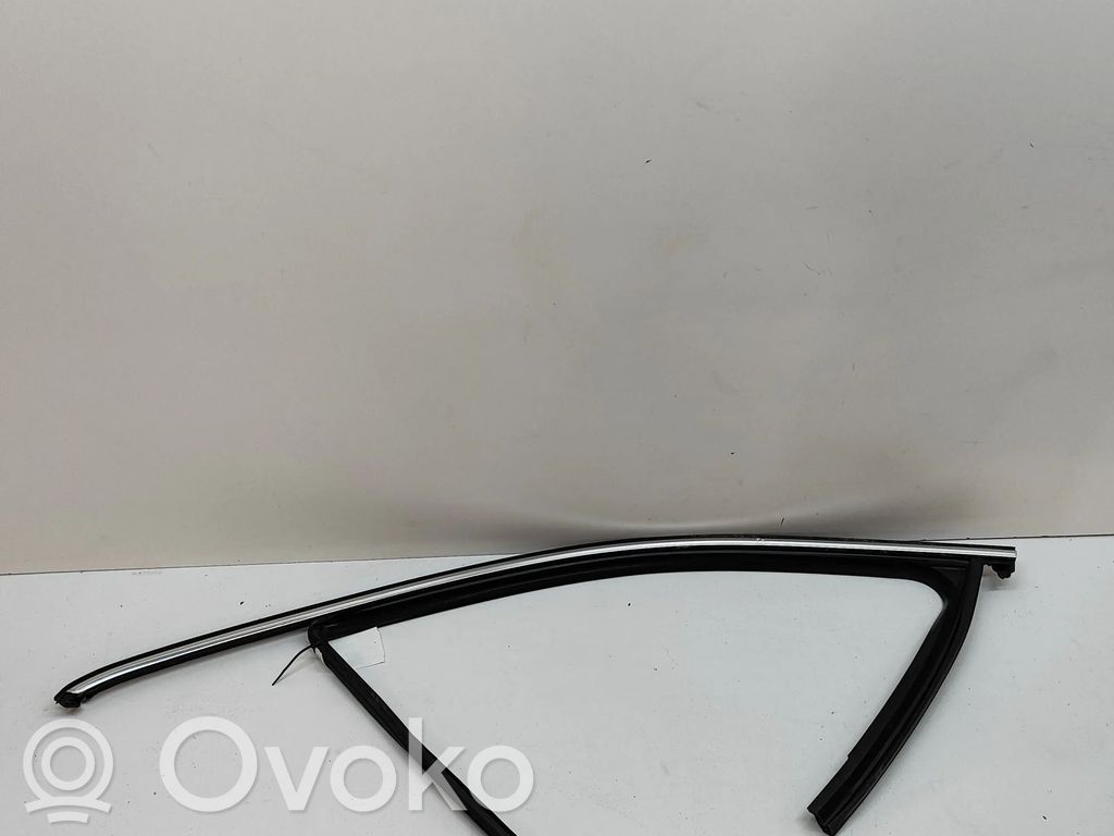Volkswagen PASSAT B8 Listwa / Uszczelka szyby drzwi 