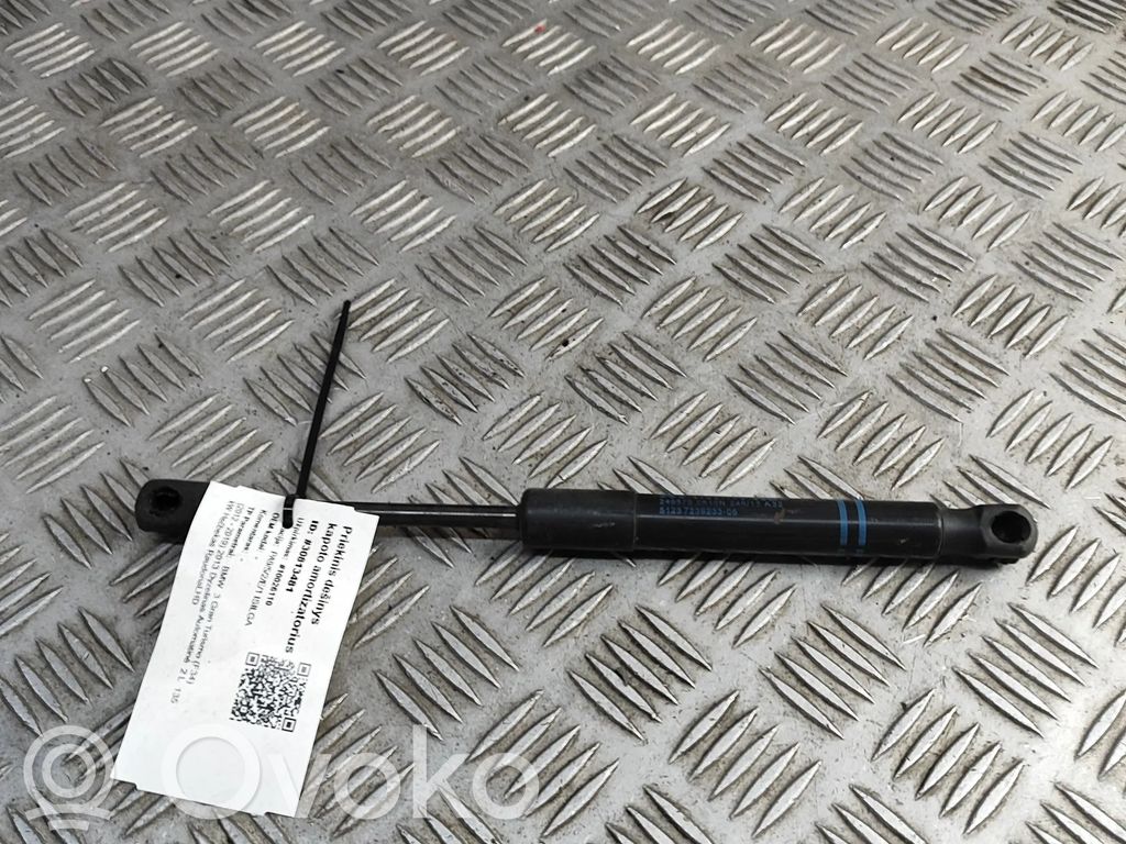 BMW 3 GT F34 Ammortizzatore portellone anteriore/cofano 