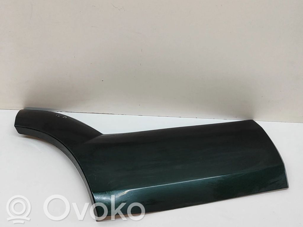 Toyota Land Cruiser (J120) Rivestimento portiera posteriore (modanatura)