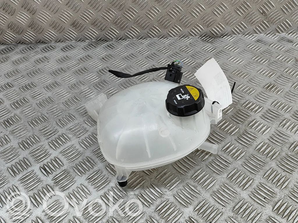 Polestar 2 Serbatoio di compensazione del liquido refrigerante/vaschetta 