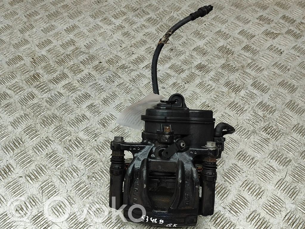 Takajarrusatula   8W0405BB