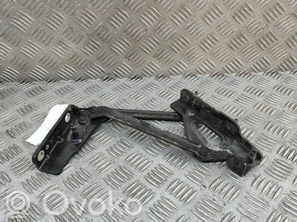 Tailgate/trunk/boot hinge   8613A1