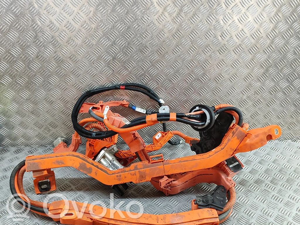 Lexus NX Other wiring loom 