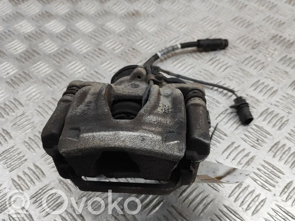 Takajarrusatula   4M0615403A