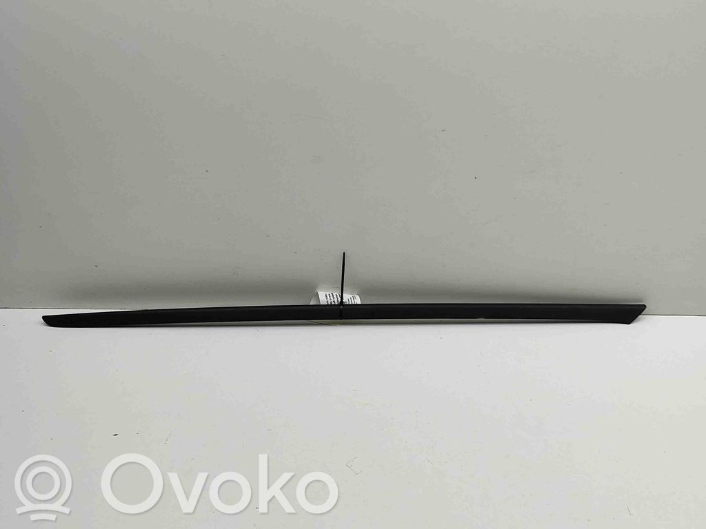Windshield trim   89A854328