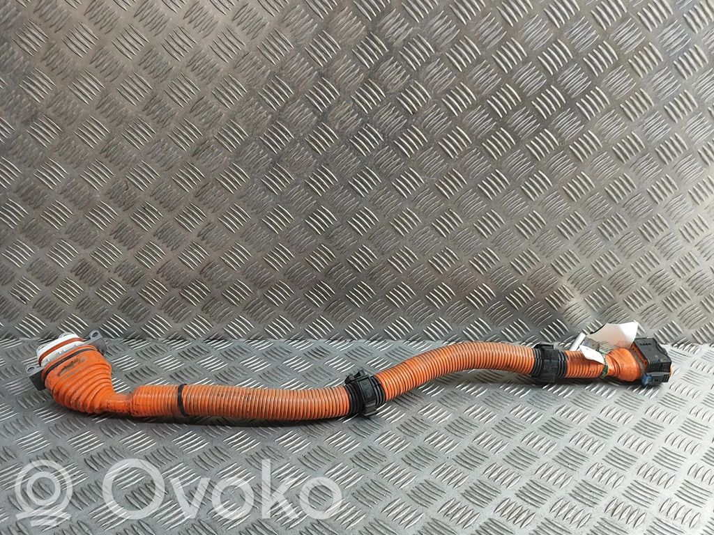 Nissan Ariya Otros cableados 