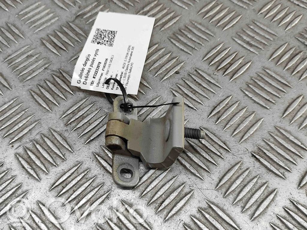 Audi e-tron Tailgate/trunk/boot hinge 
